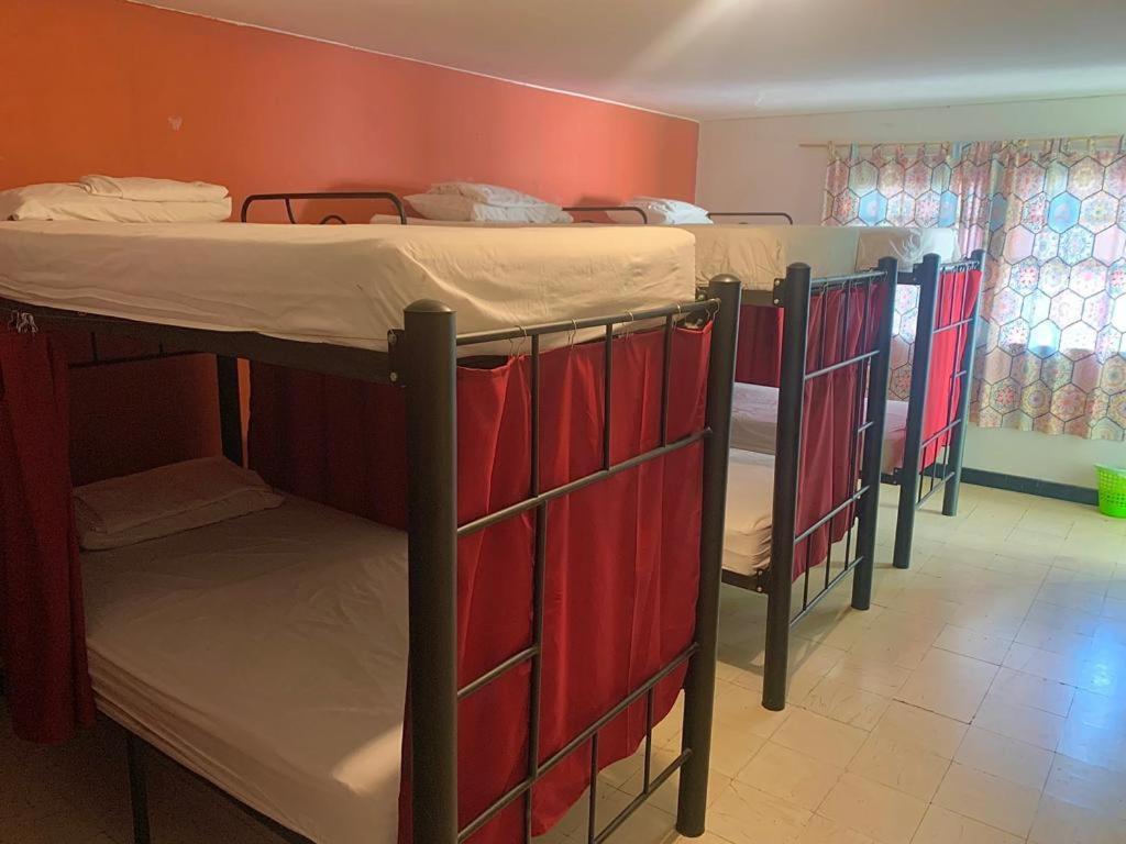 The Pelican Larry Hostel Калі Екстер'єр фото