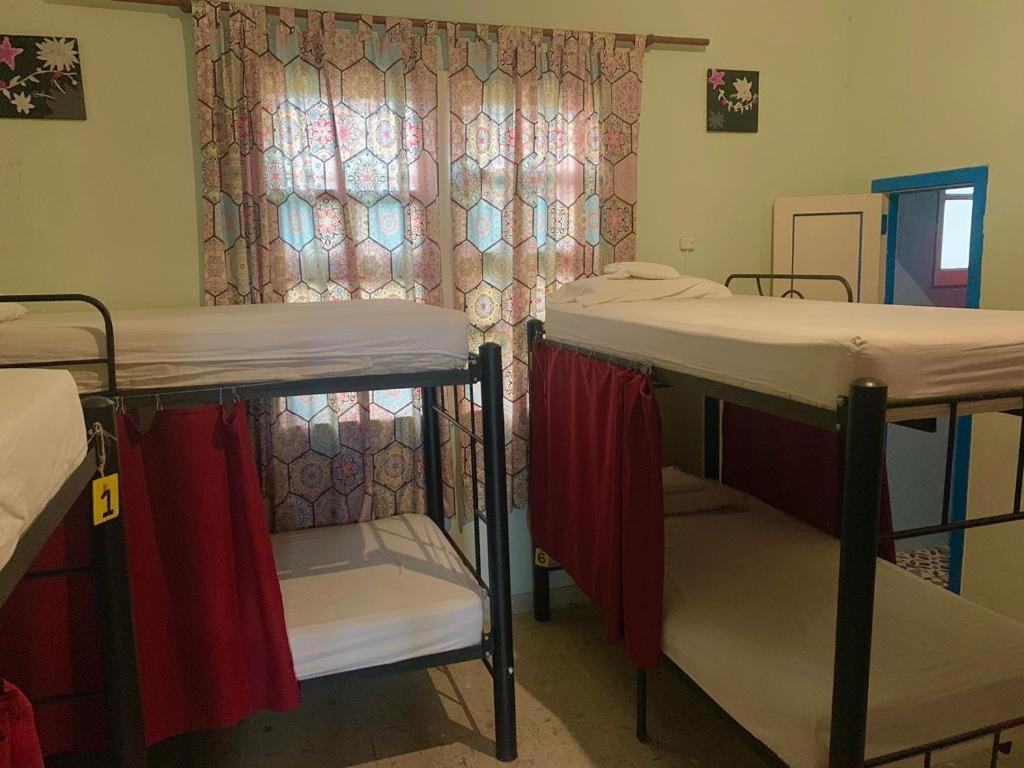The Pelican Larry Hostel Калі Екстер'єр фото
